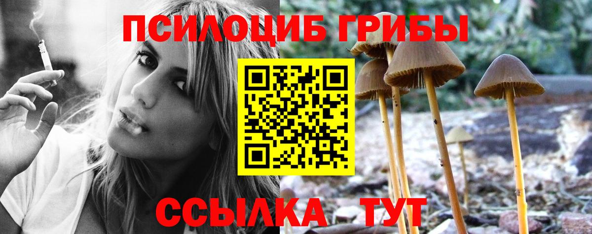 Галлюциногенные грибы Cubensis Апшеронск