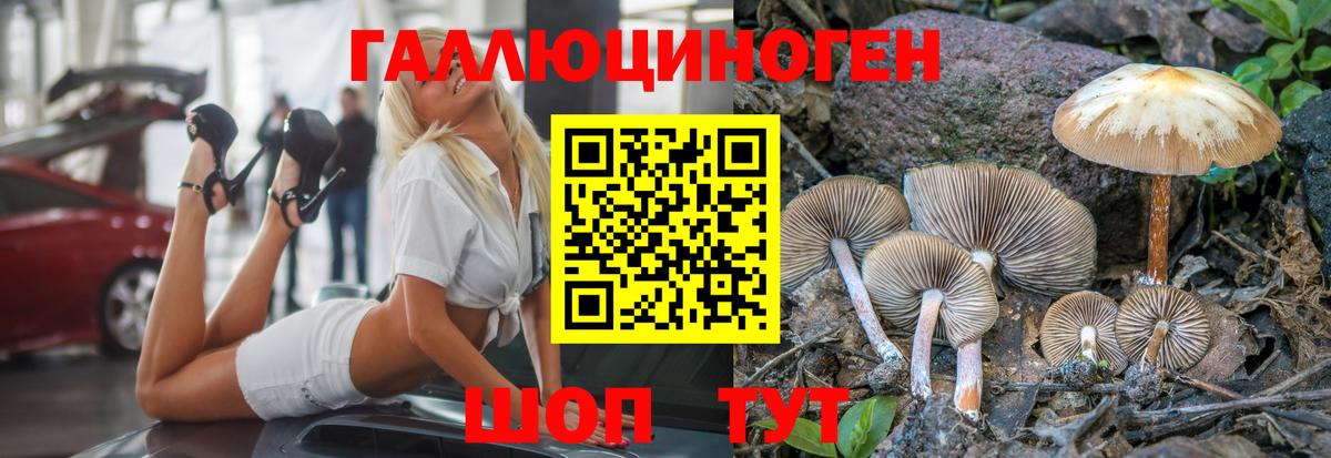 Апшеронск  дарнет шоп  Вход с VPN  Галлюциногенные грибы Psilocybe 